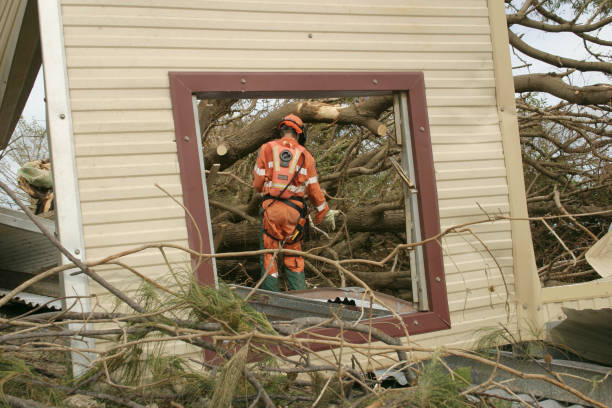 Professional Tree Care Services in Mound City, MO